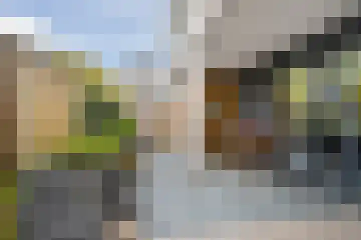 Gleditsiastraat 39 Almere thumbnail 30