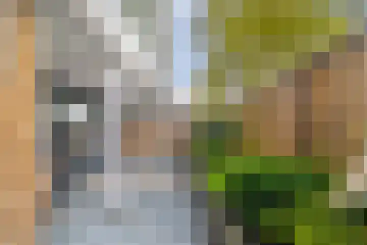 Gleditsiastraat 39 Almere thumbnail 32