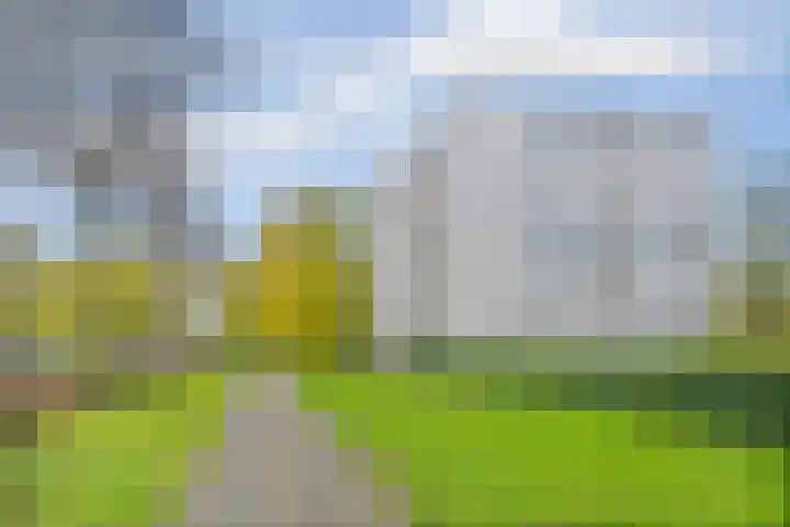 Gleditsiastraat 39 Almere thumbnail 41
