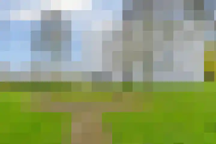 Gleditsiastraat 39 Almere thumbnail 42