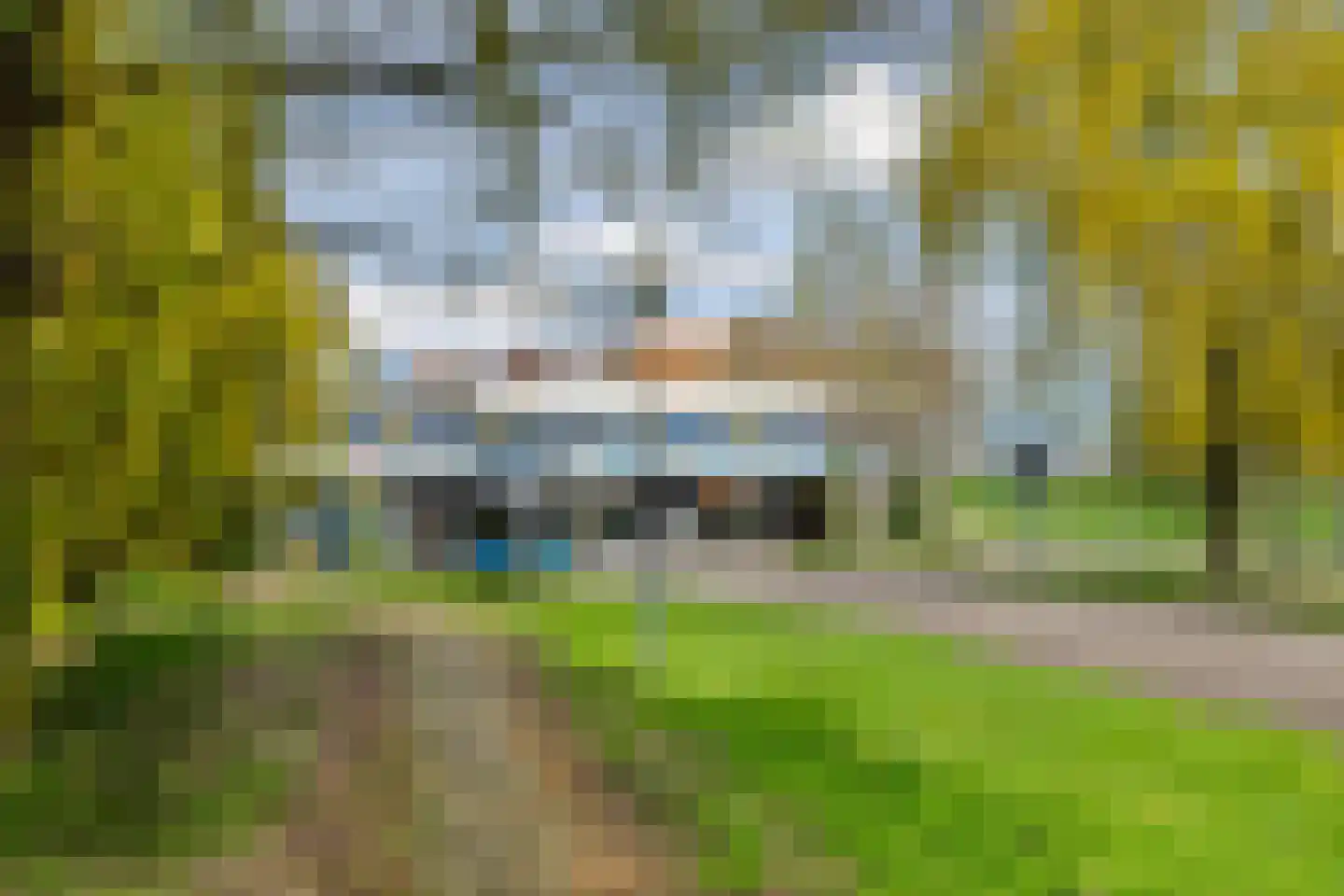 Gleditsiastraat 39 Almere thumbnail 43