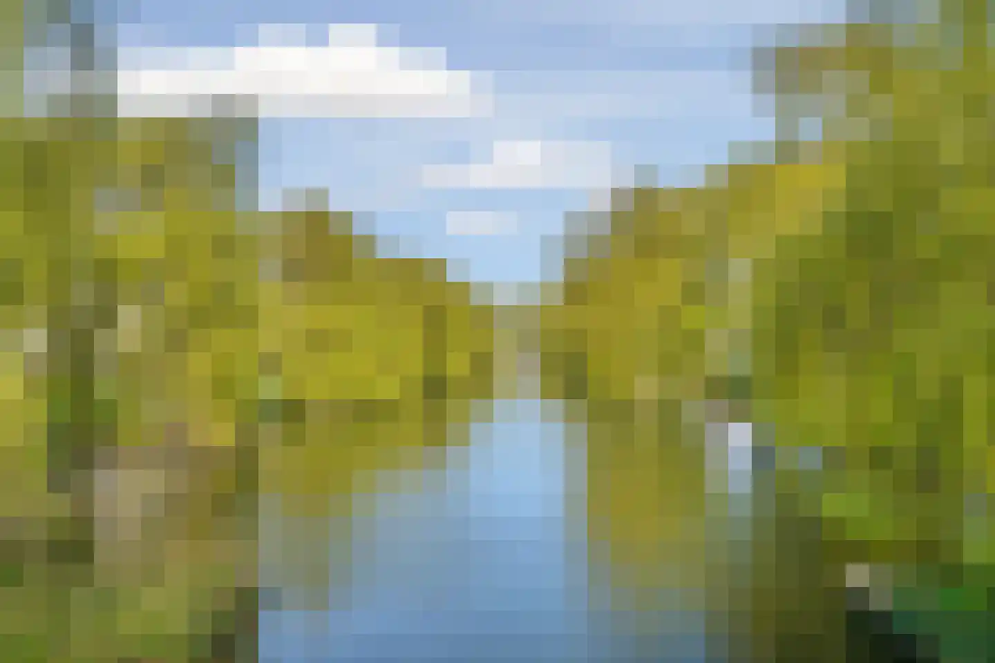 Gleditsiastraat 39 Almere thumbnail 44