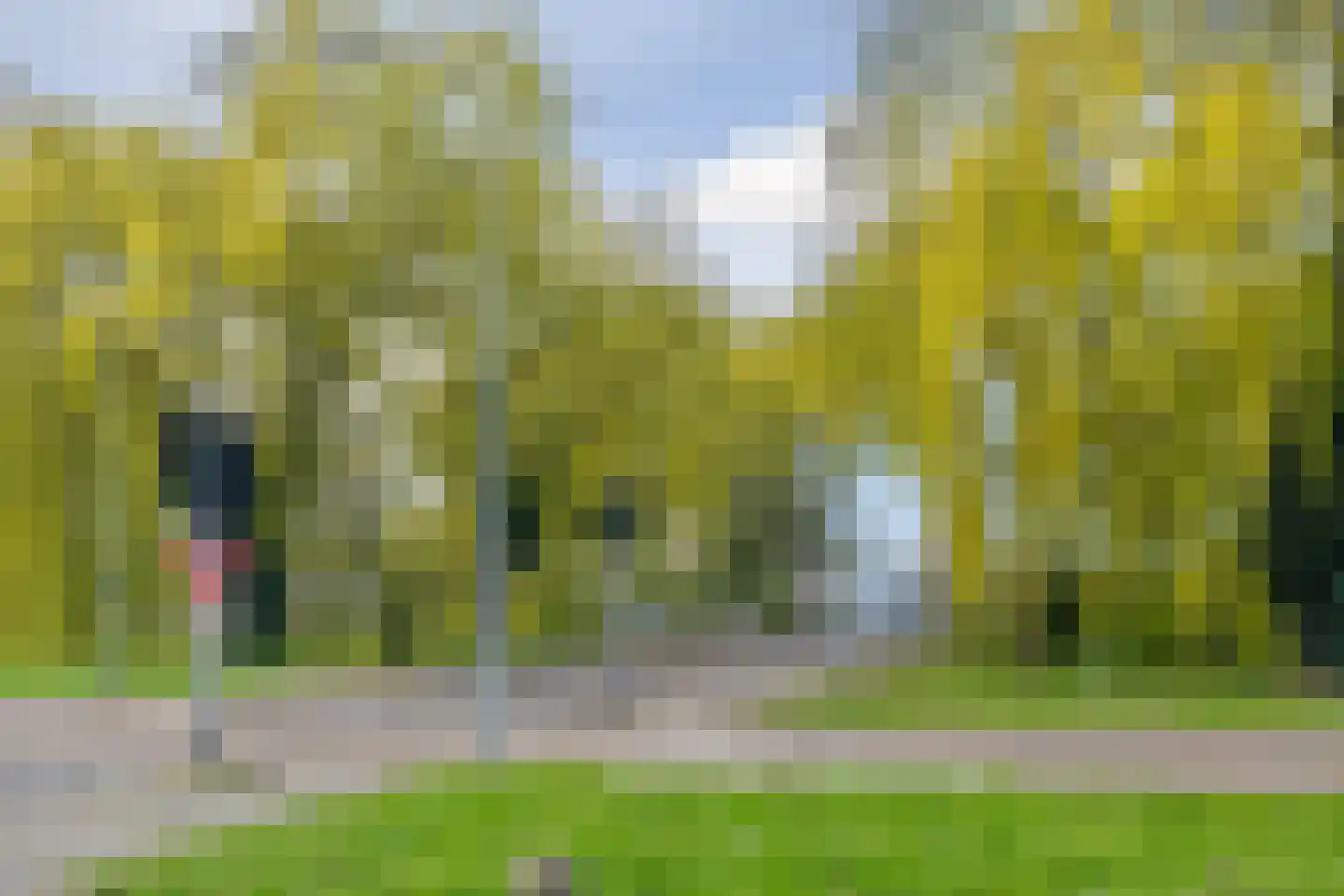 Gleditsiastraat 39 Almere thumbnail 45