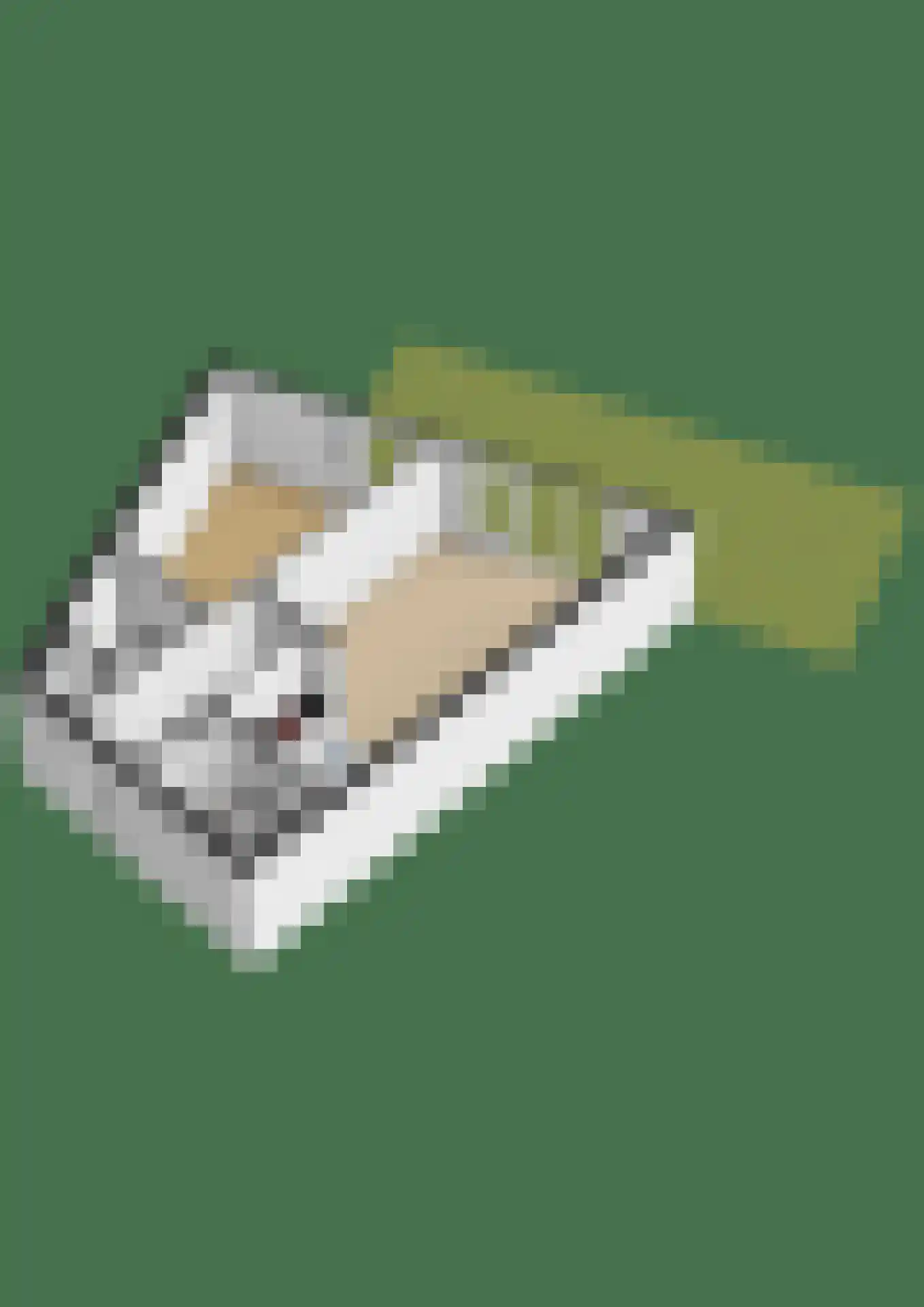 Gleditsiastraat 39 Almere thumbnail 51