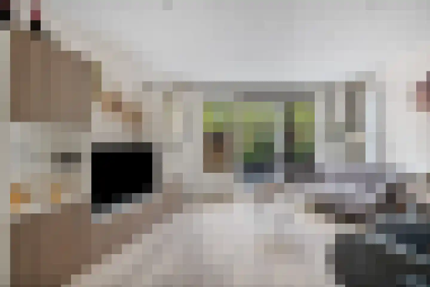 Gleditsiastraat 39 Almere thumbnail 8