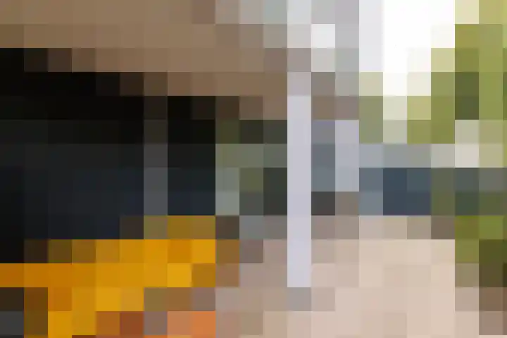 Gleditsiastraat 41 Almere thumbnail 25