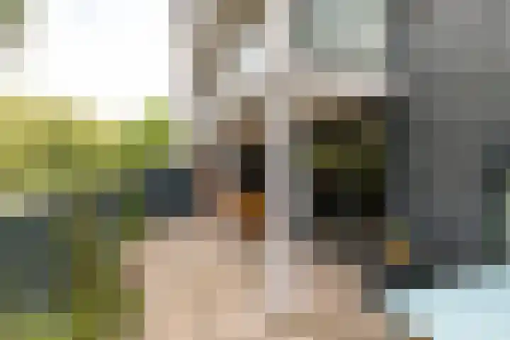 Gleditsiastraat 41 Almere thumbnail 26
