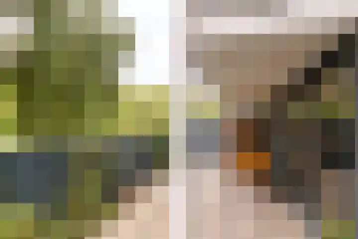 Gleditsiastraat 41 Almere thumbnail 27
