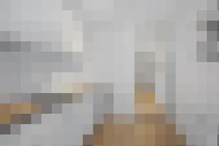 Gleditsiastraat 45 Almere thumbnail 14