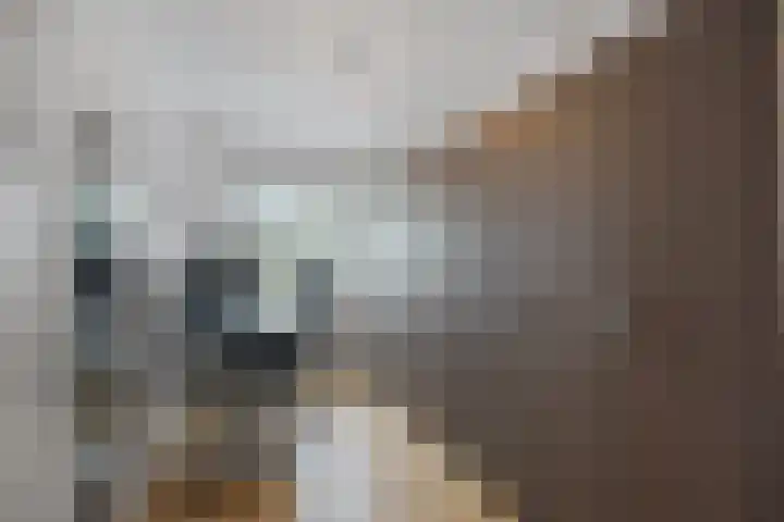 Gleditsiastraat 45 Almere thumbnail 22