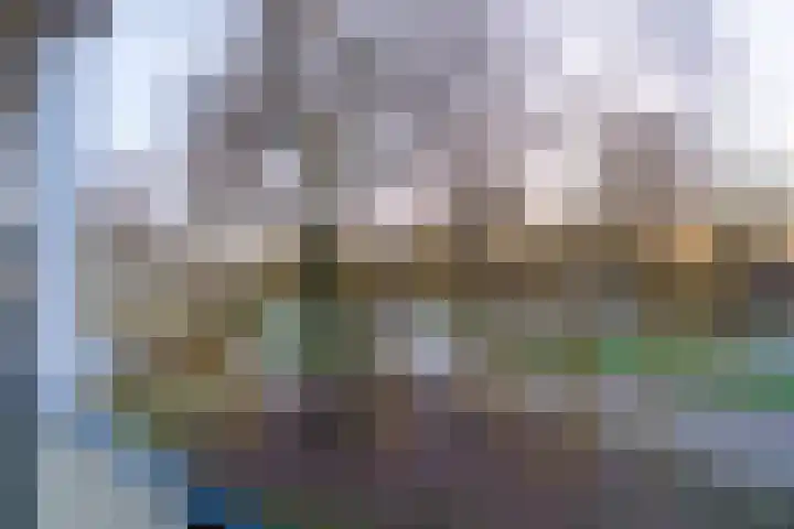 Gleditsiastraat 45 Almere thumbnail 28