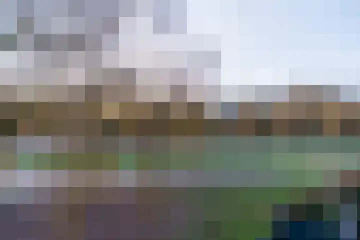 Gleditsiastraat 45 Almere thumbnail 29