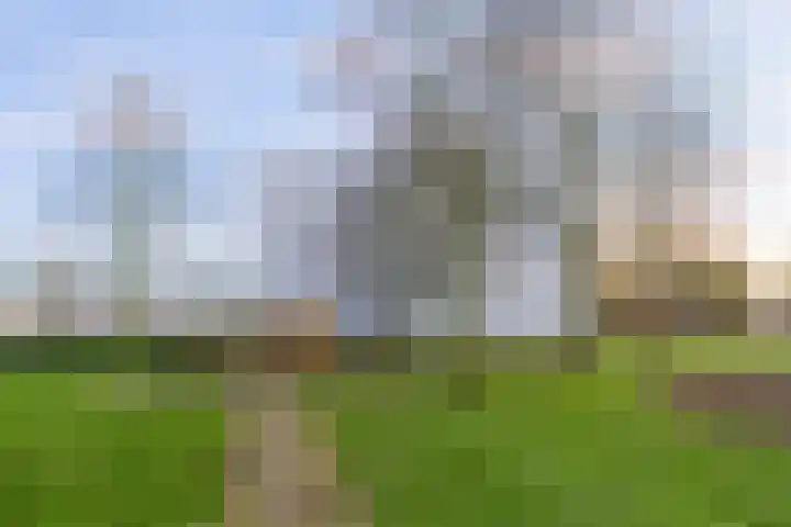 Gleditsiastraat 45 Almere thumbnail 31