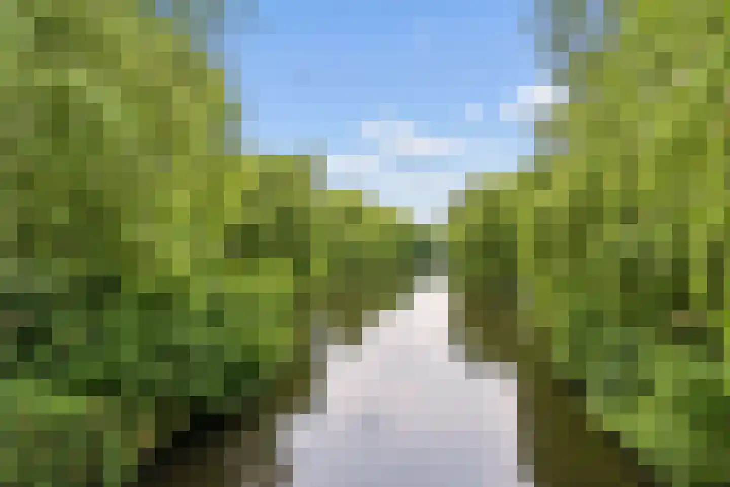 Gleditsiastraat 48 Almere thumbnail 31