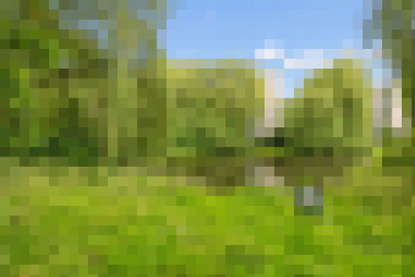 Gleditsiastraat 48 Almere thumbnail 32