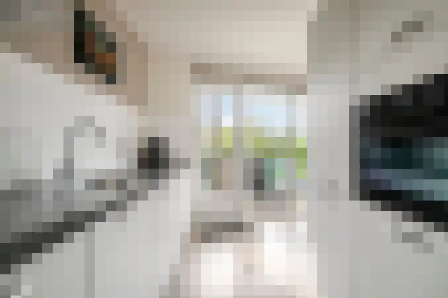Gleditsiastraat 65 Almere thumbnail 20