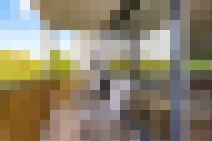 Gleditsiastraat 65 Almere thumbnail 20