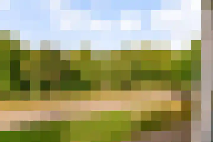 Gleditsiastraat 65 Almere thumbnail 21