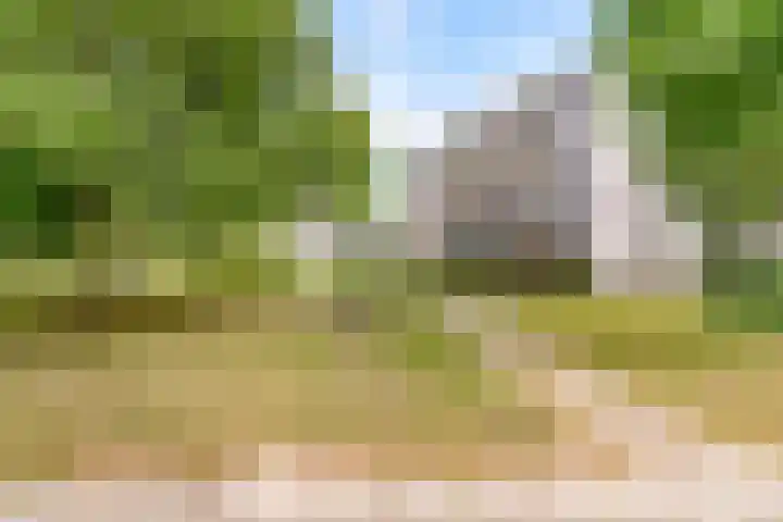 Gleditsiastraat 65 Almere thumbnail 32