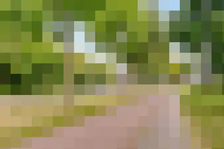 Gleditsiastraat 65 Almere thumbnail 33