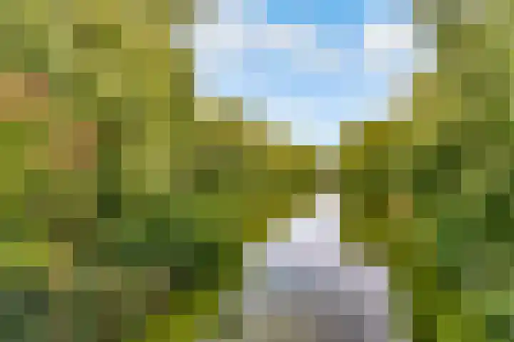 Gleditsiastraat 65 Almere thumbnail 34