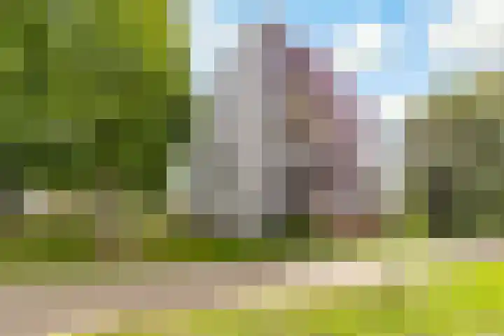 Gleditsiastraat 65 Almere thumbnail 4