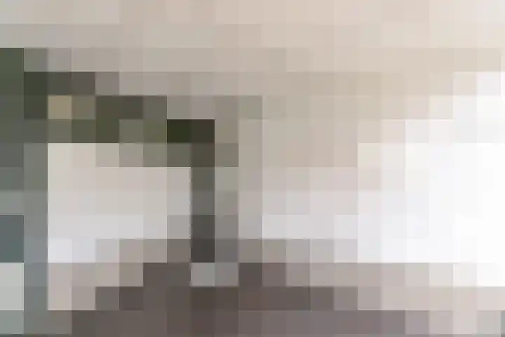 Gleditsiastraat 65 Almere thumbnail 6