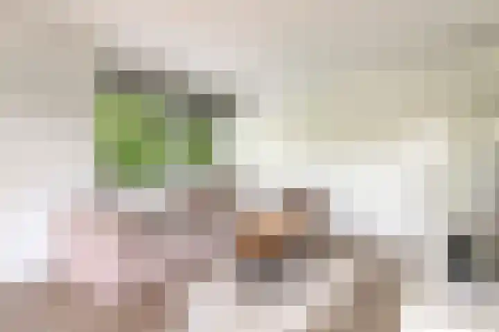 Gleditsiastraat 65 Almere thumbnail 8