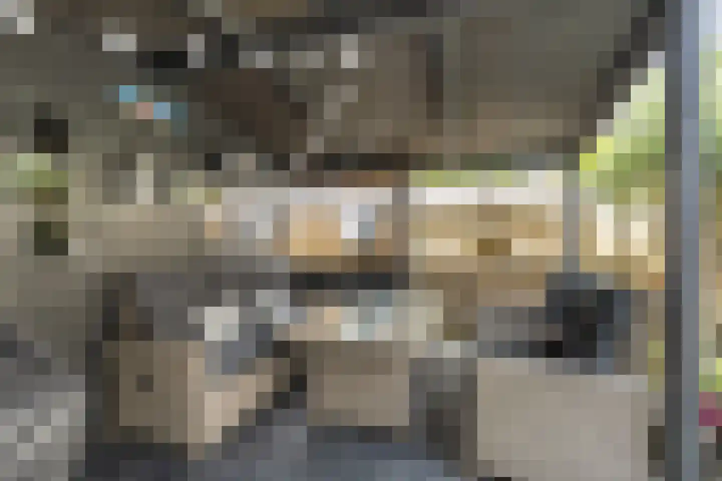 Gleede 11 Strijen thumbnail 14
