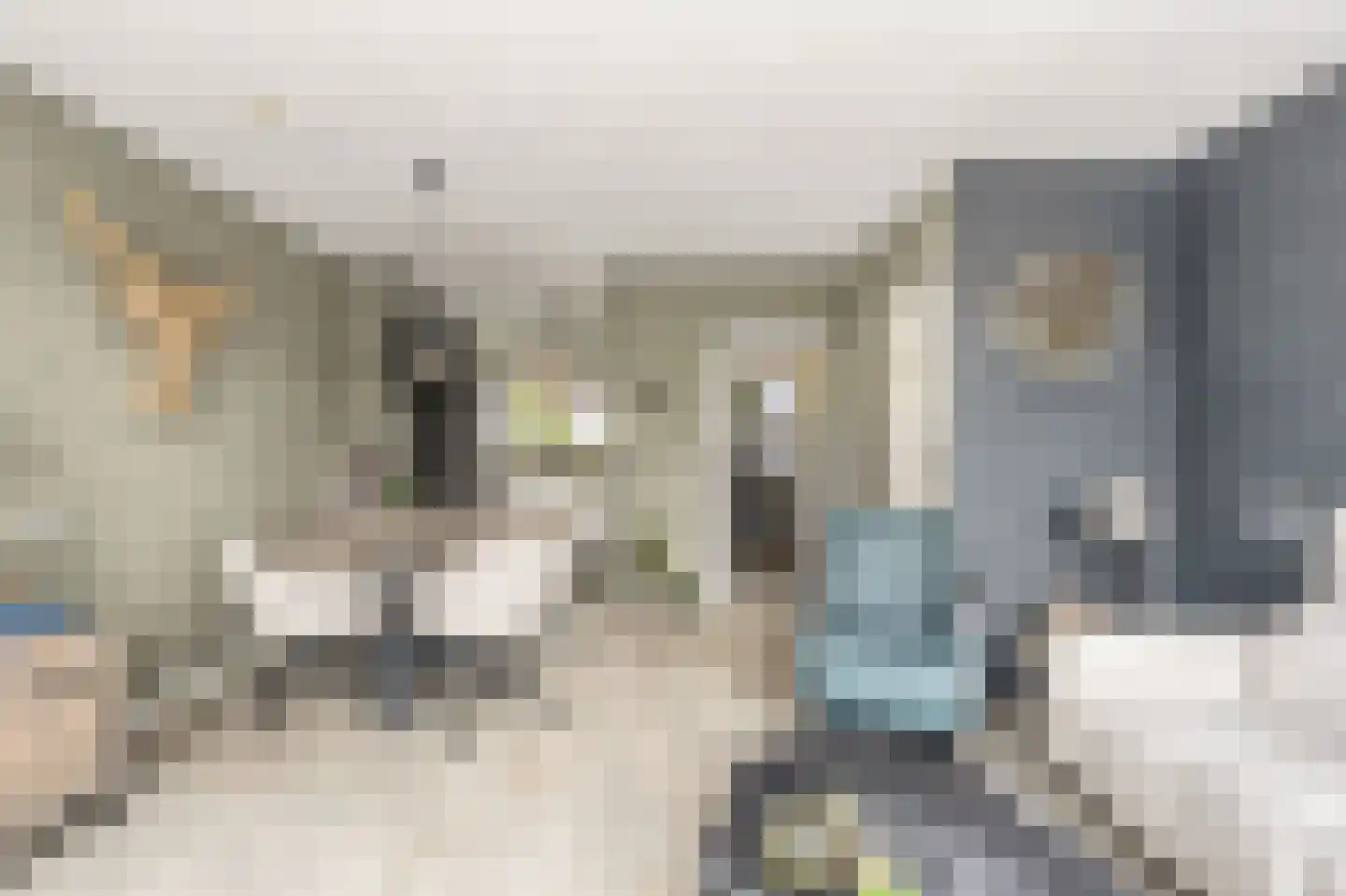 Gleede 11 Strijen thumbnail 17
