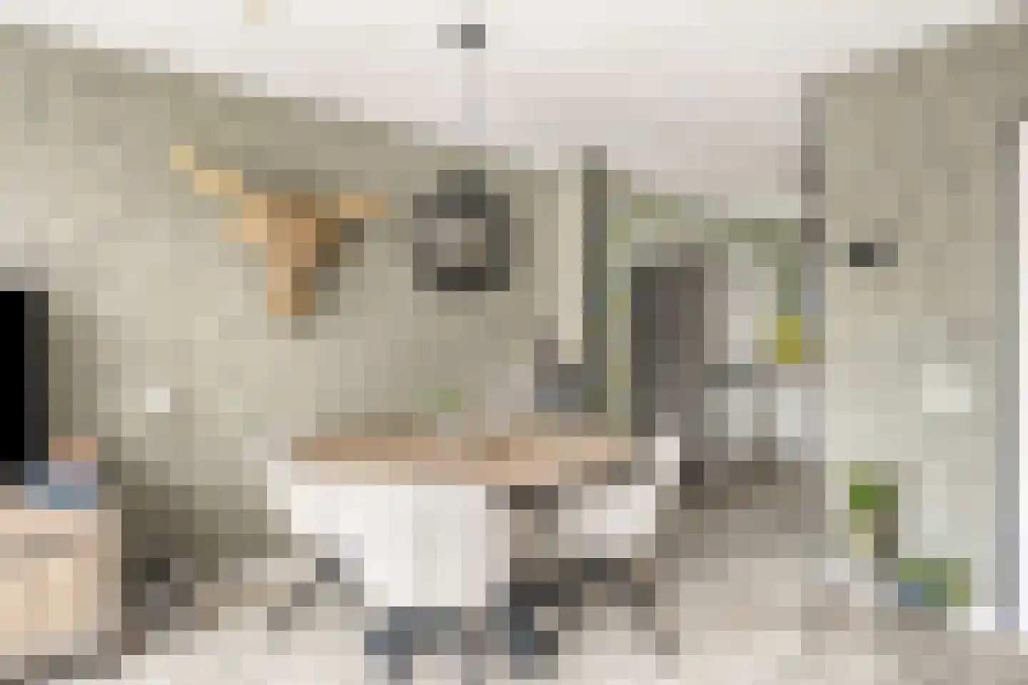 Gleede 11 Strijen thumbnail 18