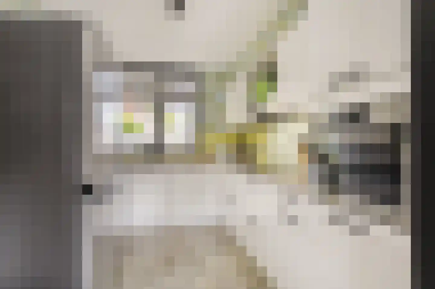 Gleede 11 Strijen thumbnail 19