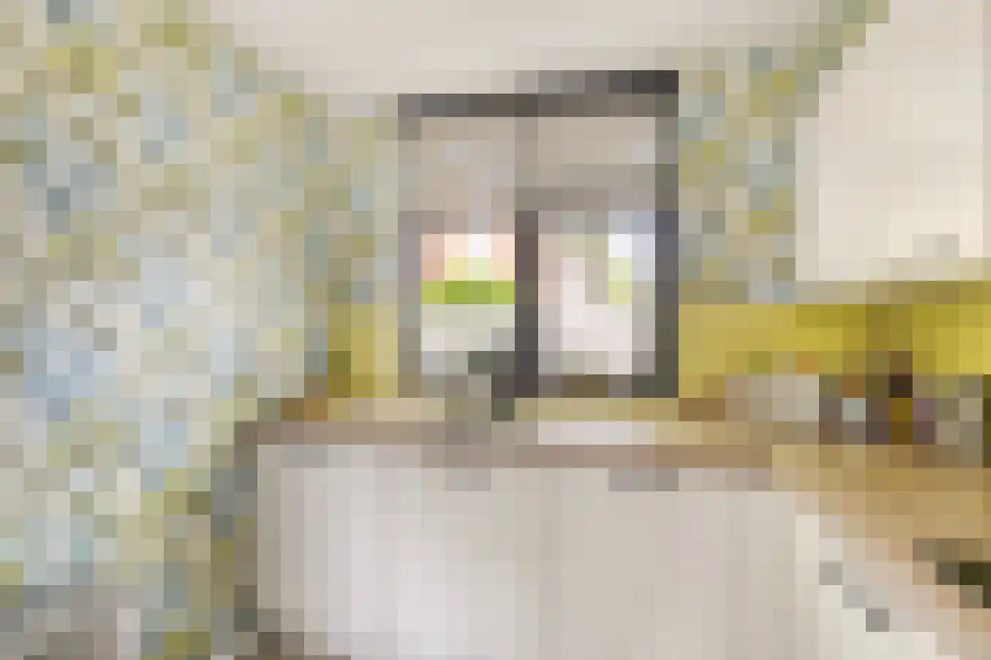 Gleede 11 Strijen thumbnail 20