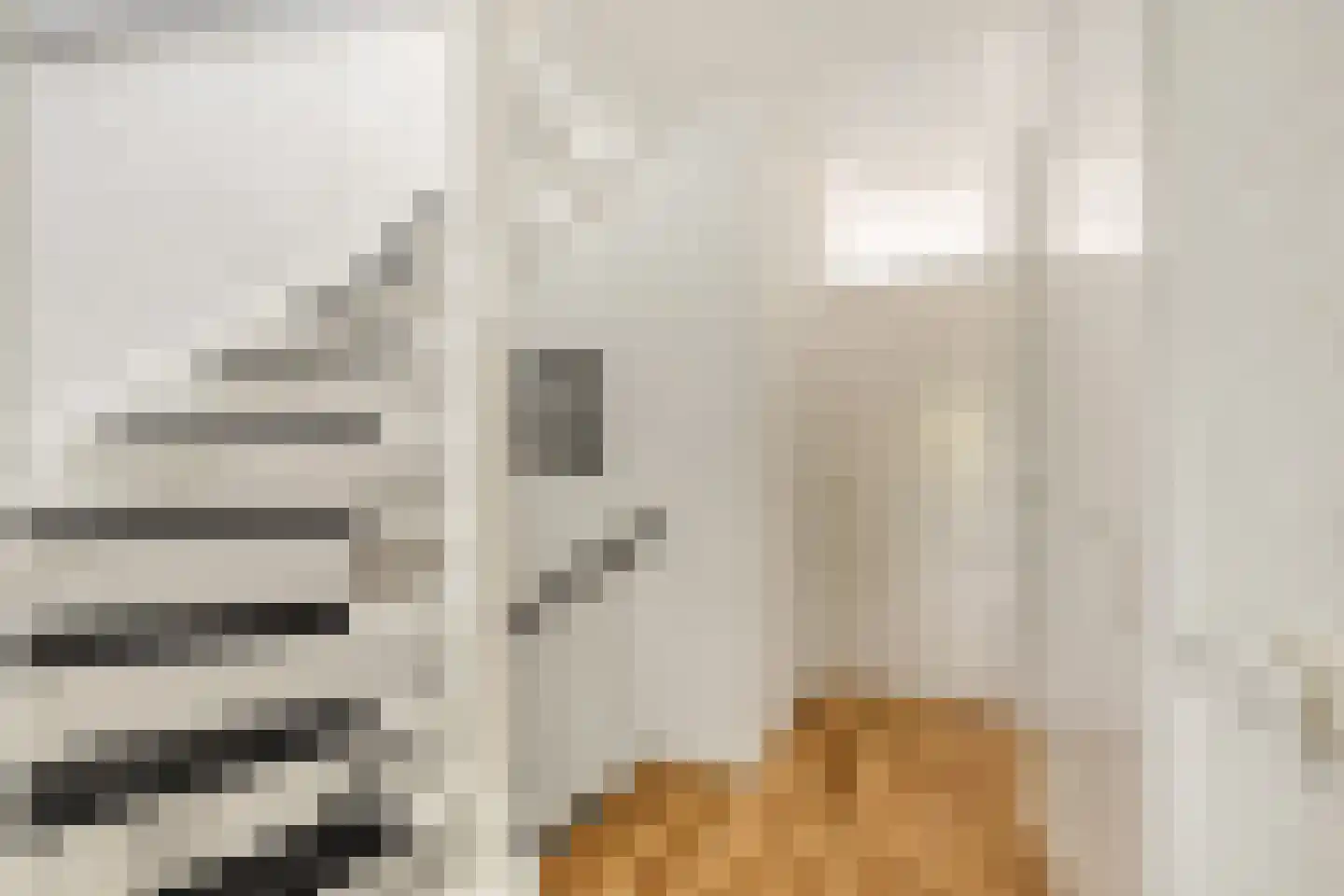 Gleede 11 Strijen thumbnail 22