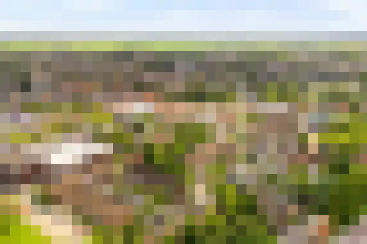 Gleede 11 Strijen thumbnail 36