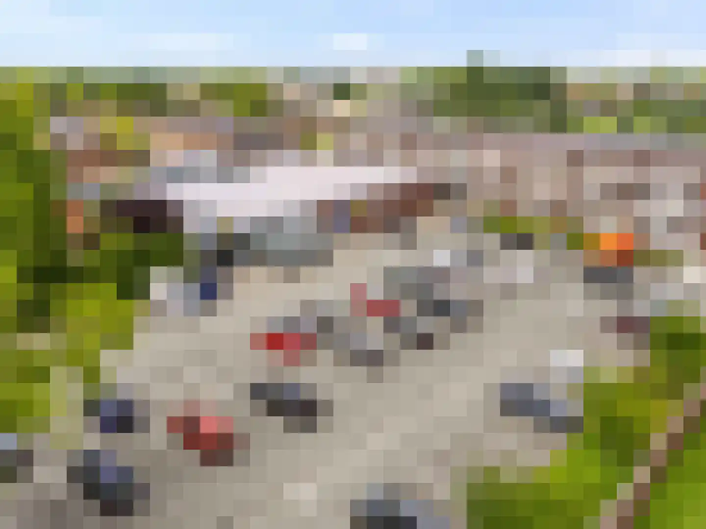 Gleede 11 Strijen thumbnail 37