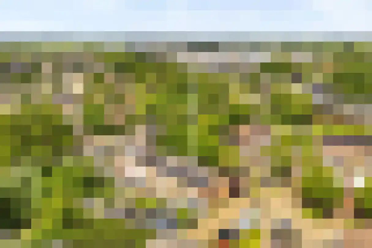 Gleede 11 Strijen thumbnail 4