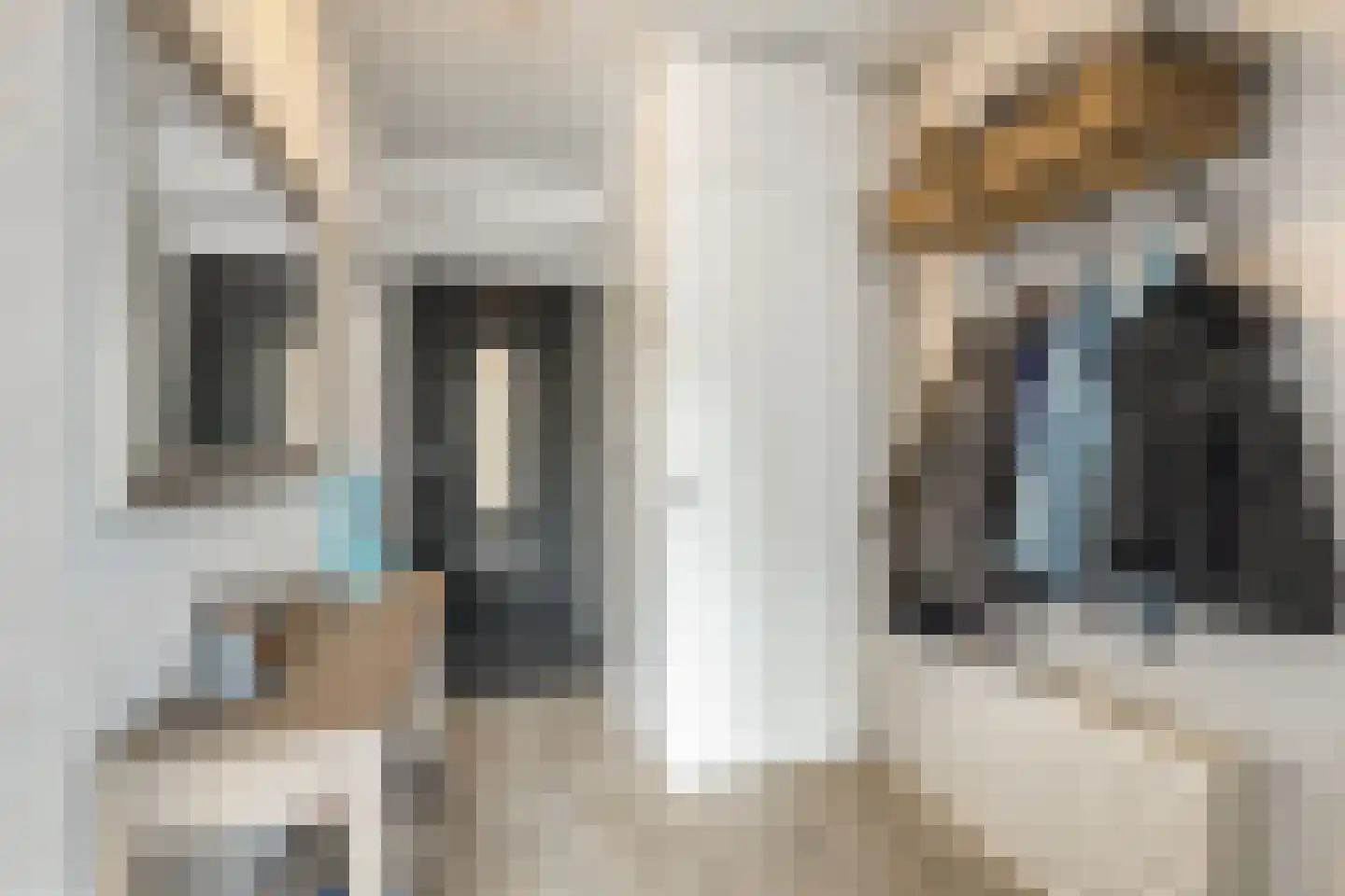 Gleede 11 Strijen thumbnail 6