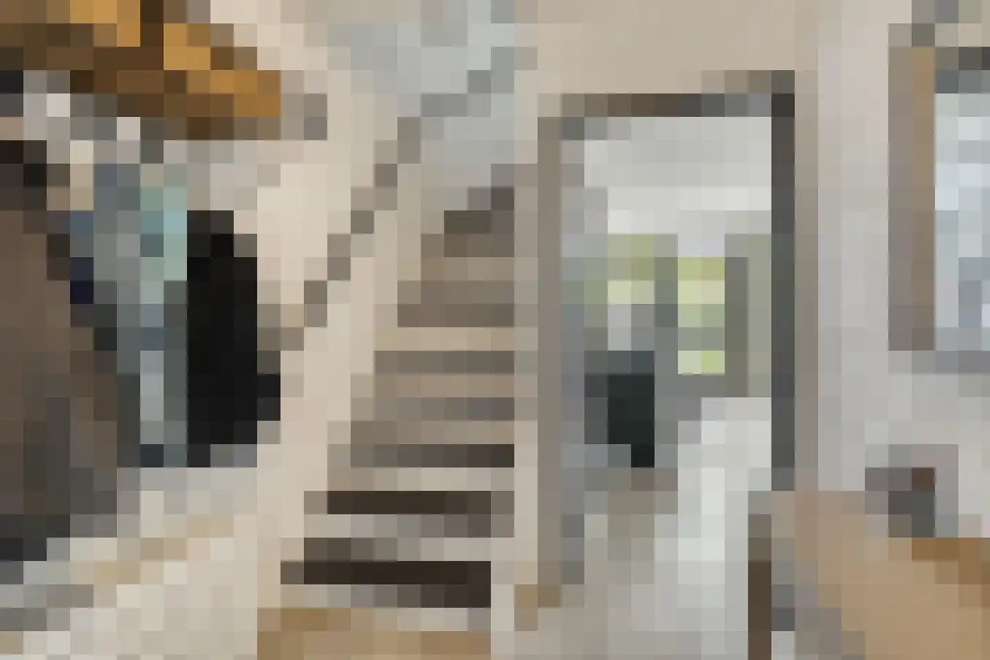 Gleede 11 Strijen thumbnail 8