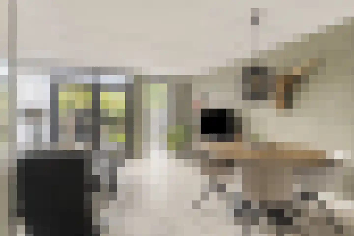 Gleede 11 Strijen thumbnail 9