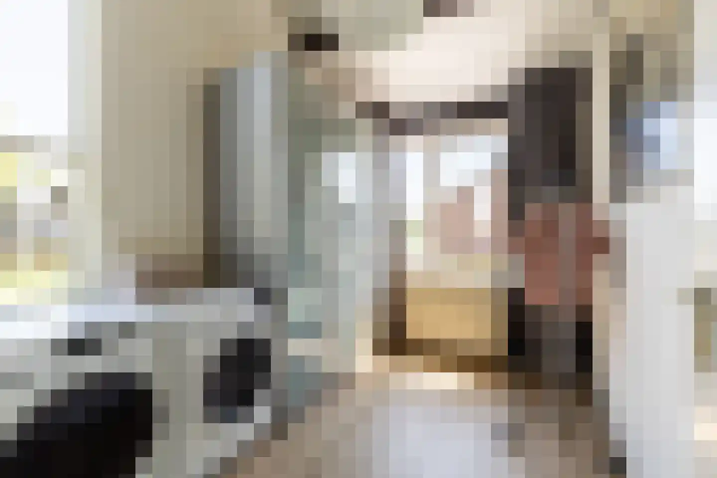 Gleede 2 Strijen thumbnail 19