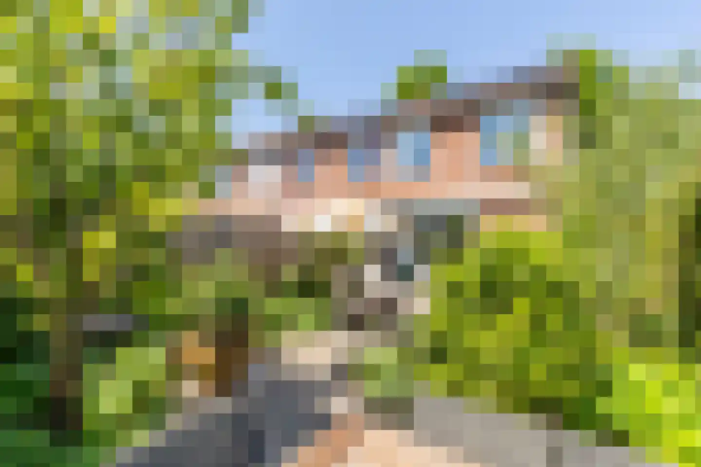 Gleede 2 Strijen foto 2