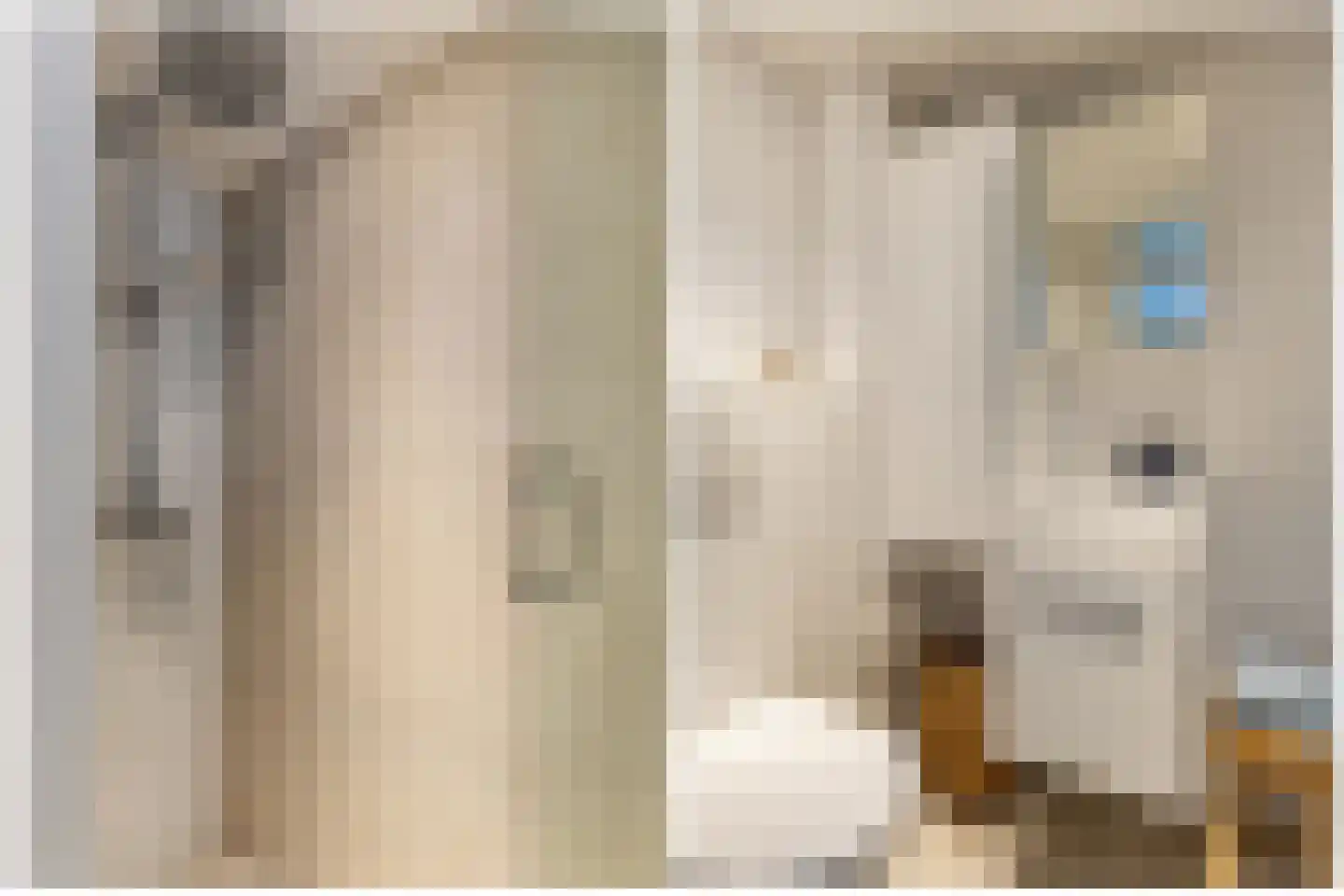Gleede 2 Strijen thumbnail 20