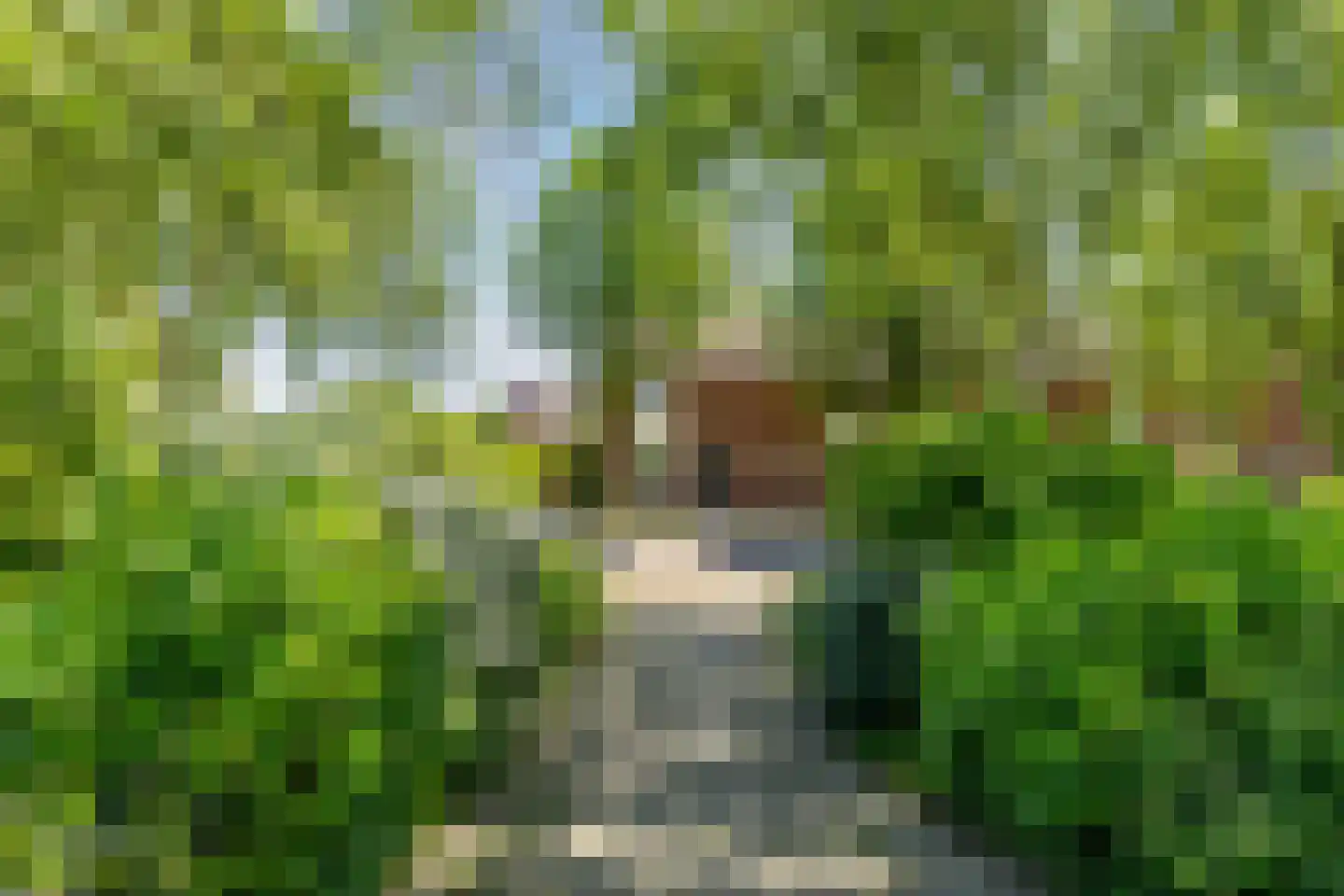 Gleede 2 Strijen thumbnail 23
