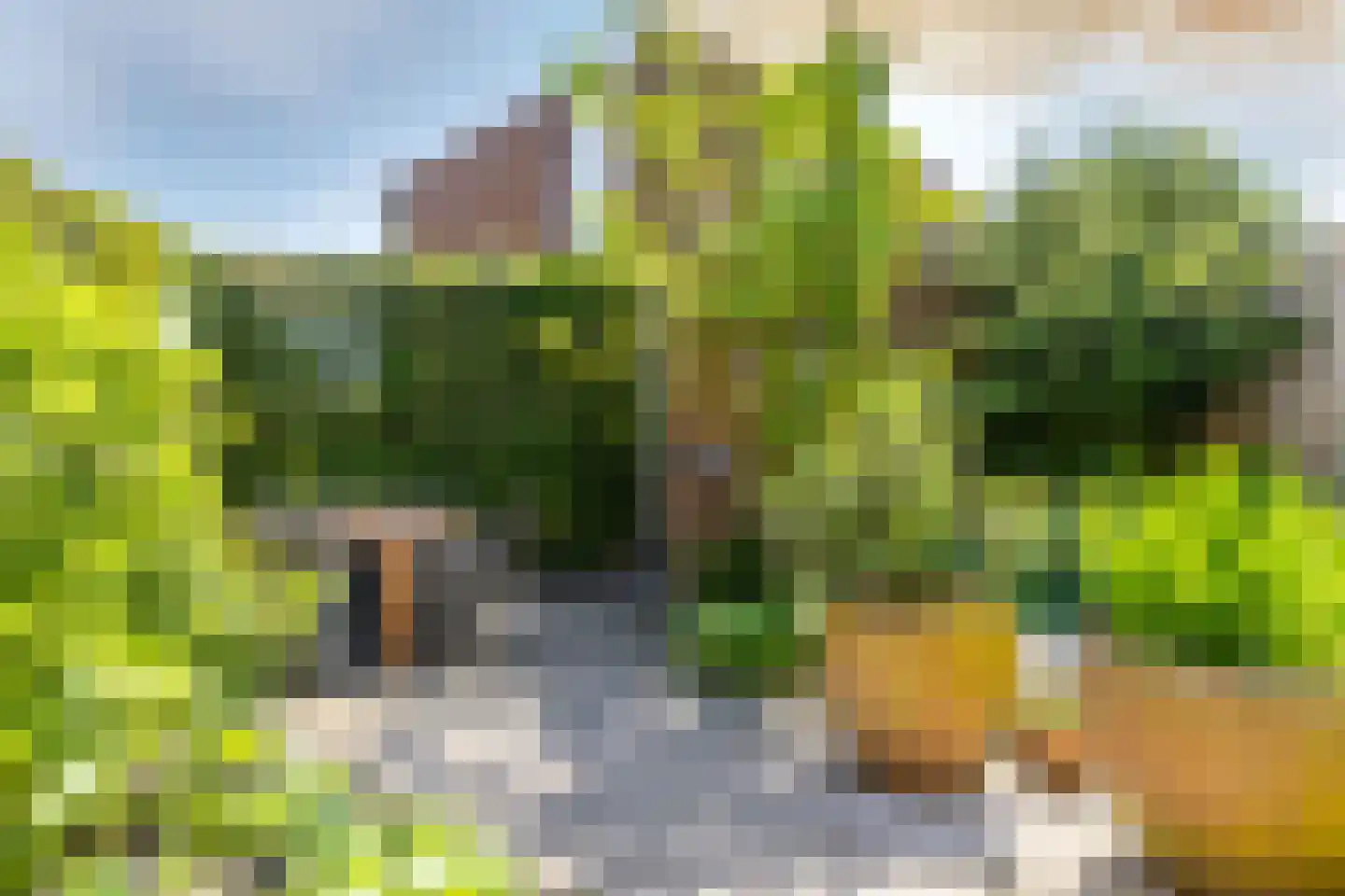 Gleede 2 Strijen thumbnail 24