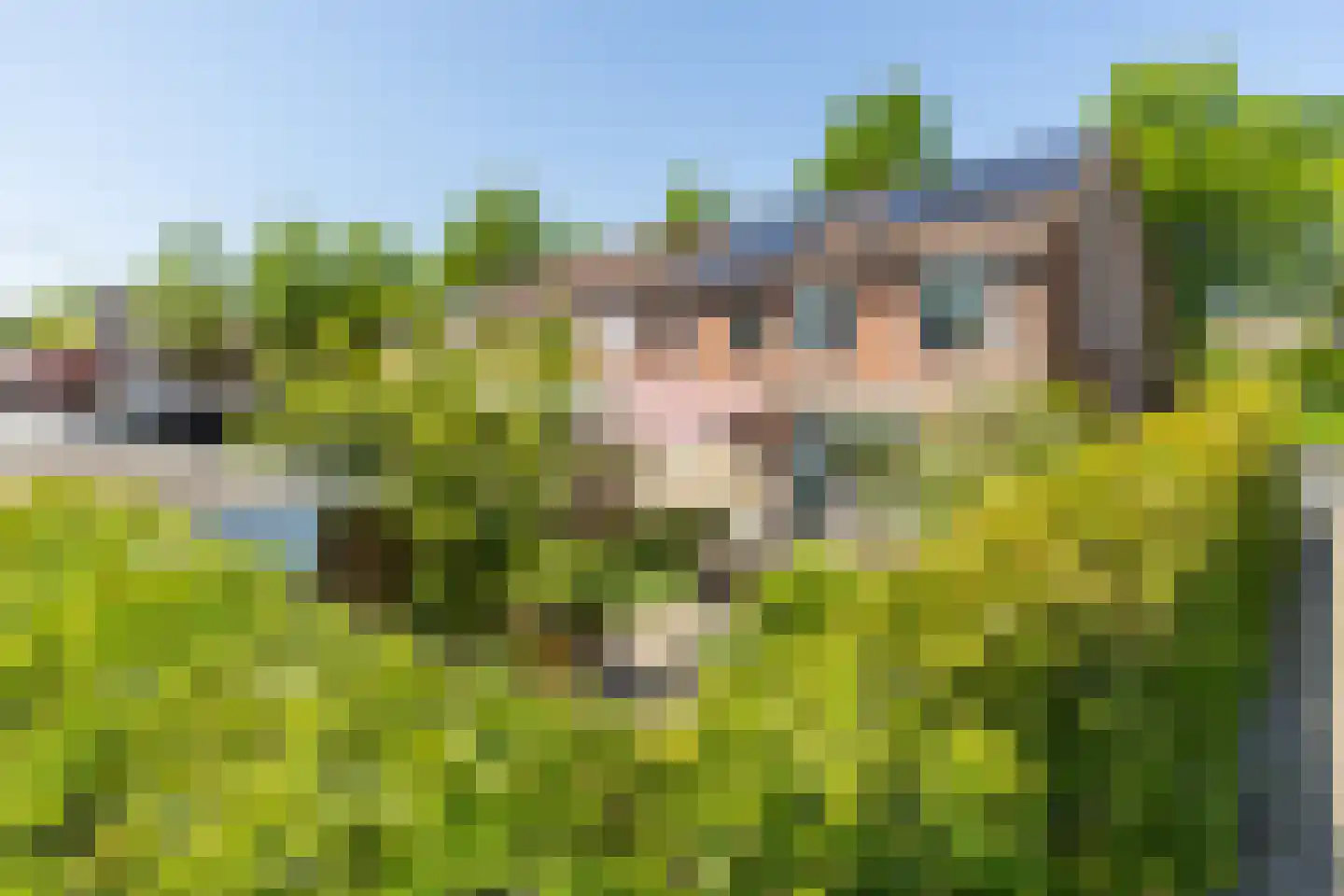 Gleede 2 Strijen thumbnail 4