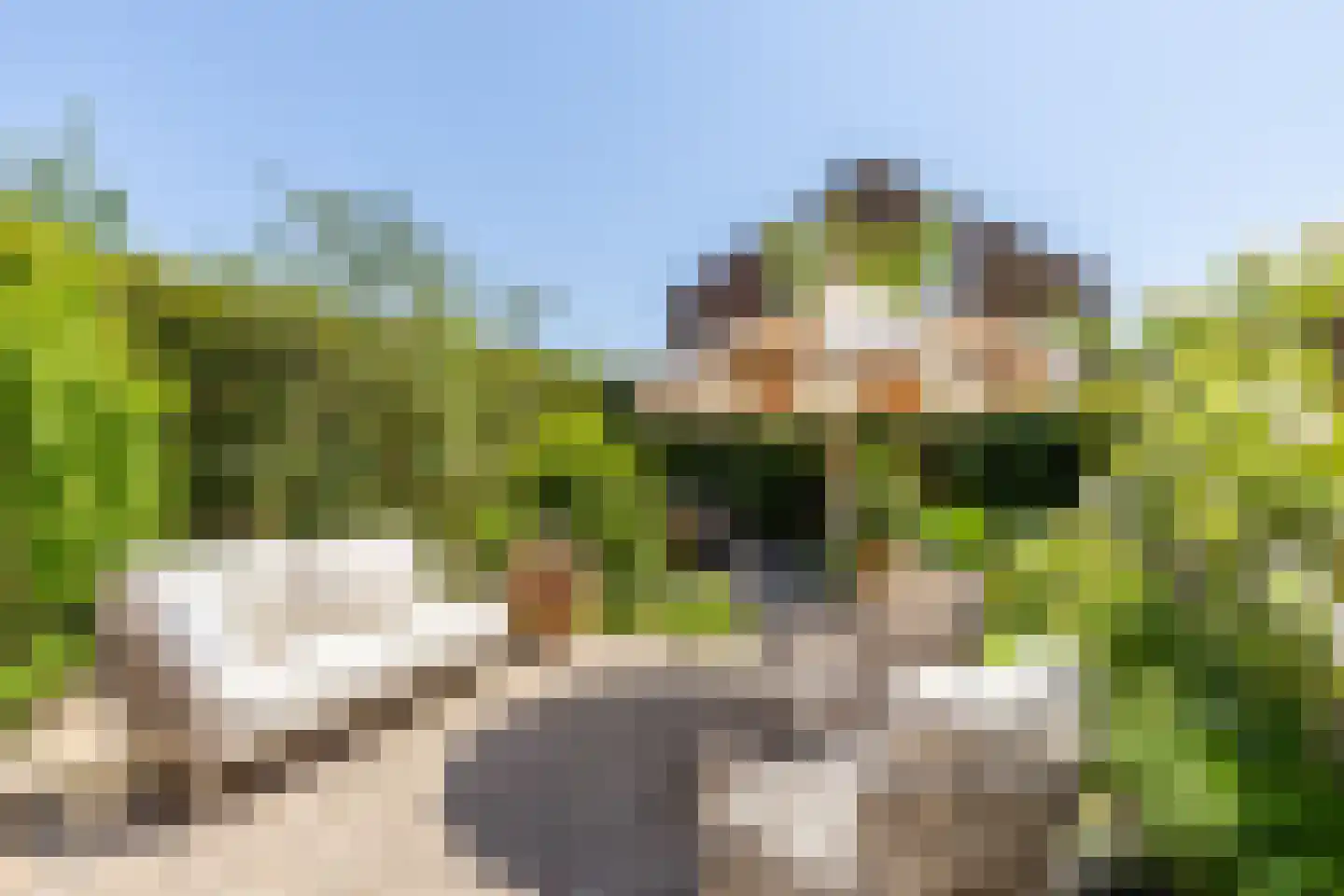 Gleede 2 Strijen thumbnail 5