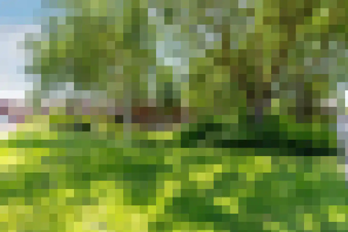Gleede 2 Strijen thumbnail 7