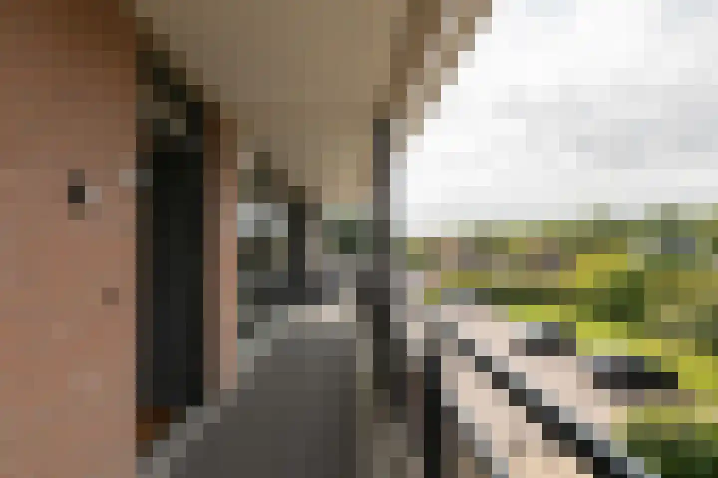 Gleibakkerij 9 A Bolsward thumbnail 9