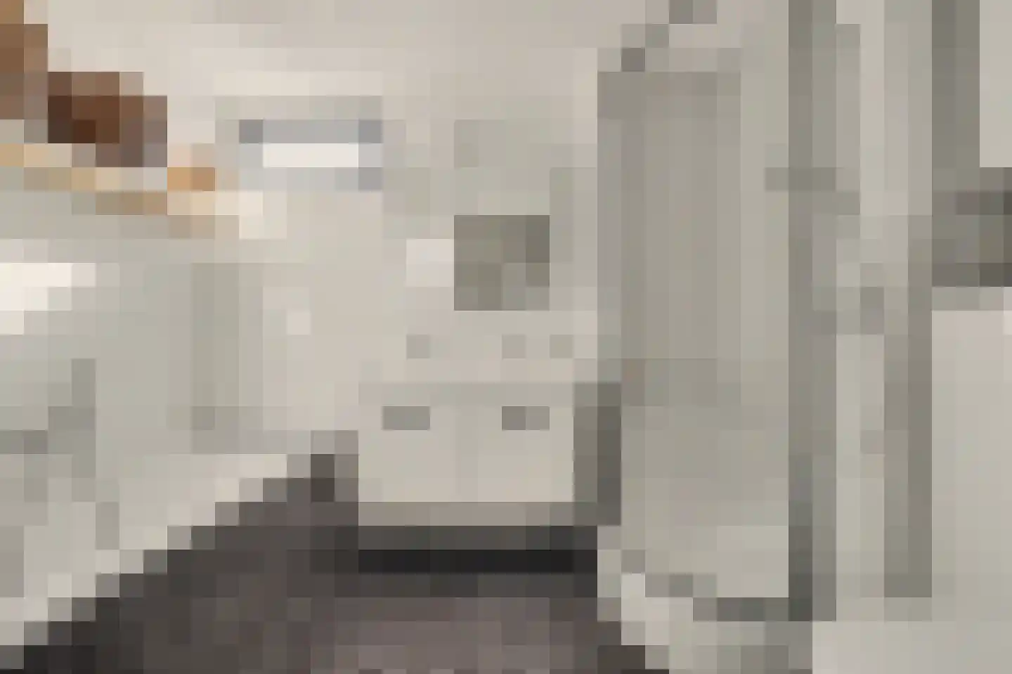 Glenn Millerlaan 16 Goes thumbnail 22